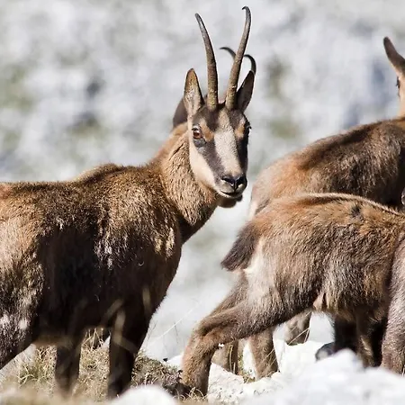 Apartament Blue Eyes Centre Free Parking