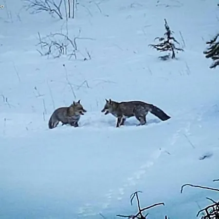 Blue Eyes Centre Free Parking *