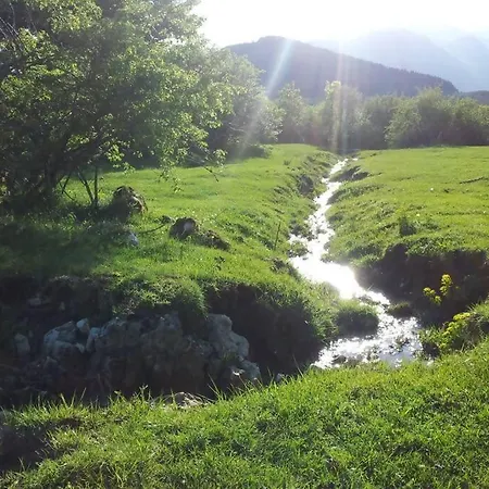 Blue Eyes Centre Free Parking شقة *