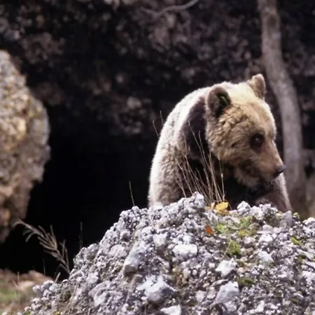 شقة Blue Eyes Centre Free Parking *