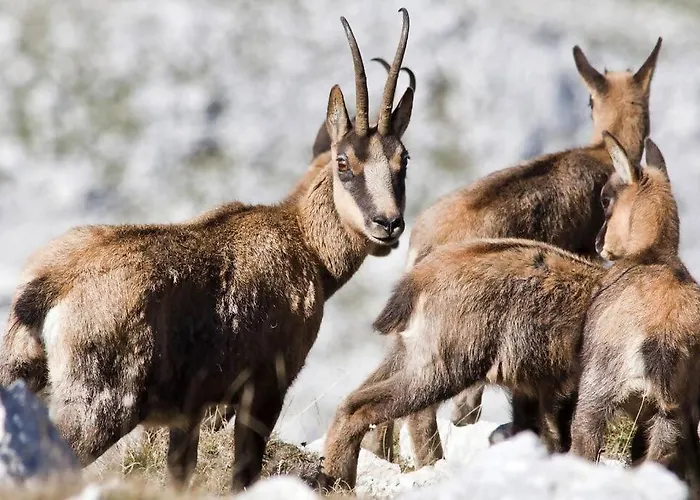 Appartement Blue Eyes Centre Free Parking