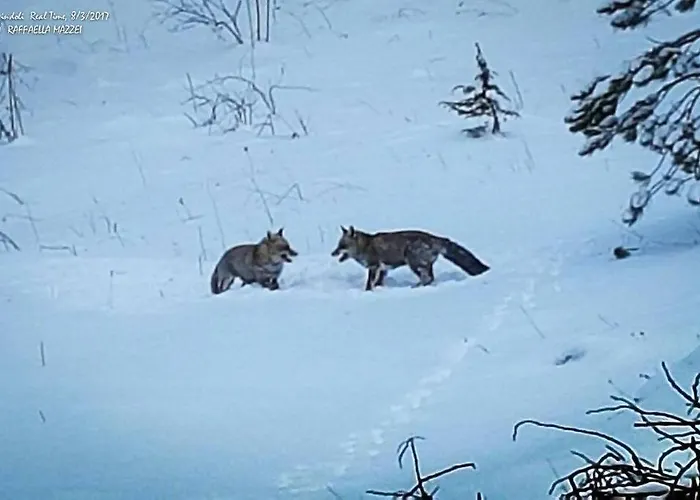 Blue Eyes Centre Free Parking *