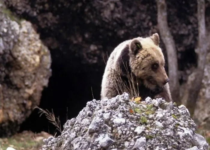 Appartement Blue Eyes Centre Free Parking *